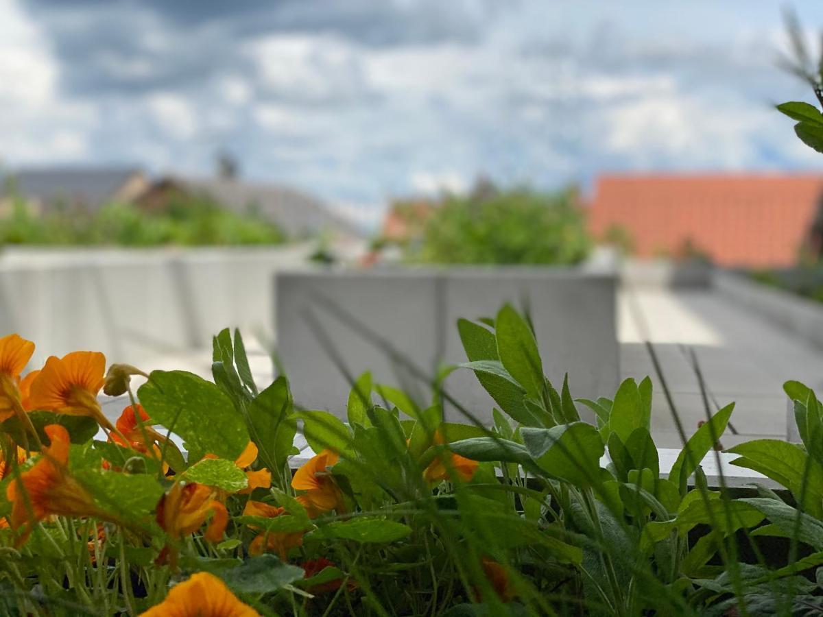 Berdorfer Eck Bed & Breakfast エクステリア 写真